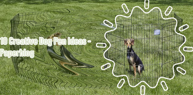Dog play fence