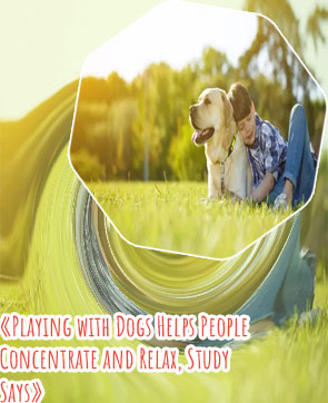 People playing with dogs