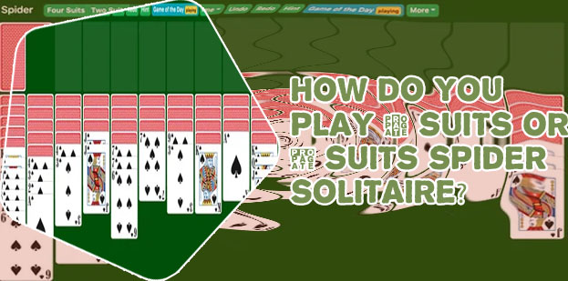 Play cards spider solitaire