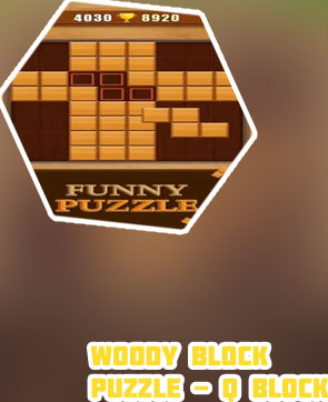 Woody blocks game